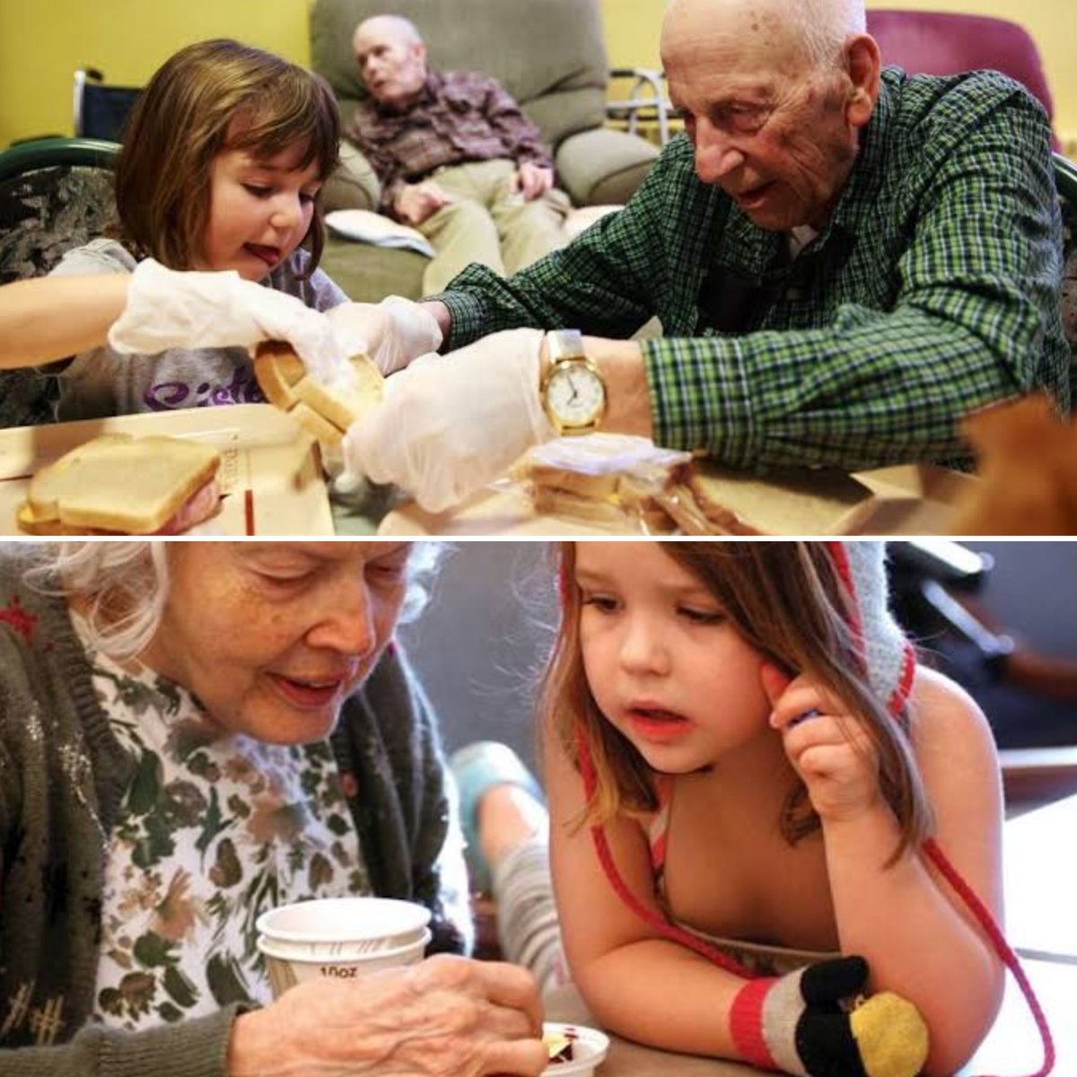 WolfofX's tweet photo. At Providence Mount St. Vincent in Seattle, a nursing home and childcare center share the same building. 

Children and senior residents spend time together doing activities like reading, arts and crafts, music, gardening, and games.

The program helps children learn kindness, respect for older people, and acceptance of people with disabilities. At the same time, the seniors enjoy friendship, daily interaction, and feel less lonely.

This unique idea has become a well-known example of how bringing different generations together can make life better for everyone.
