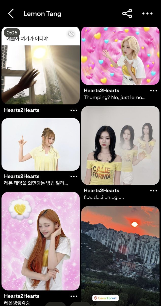 H2H Translation 🐬🍋𖹭˙⋆. tweet media
