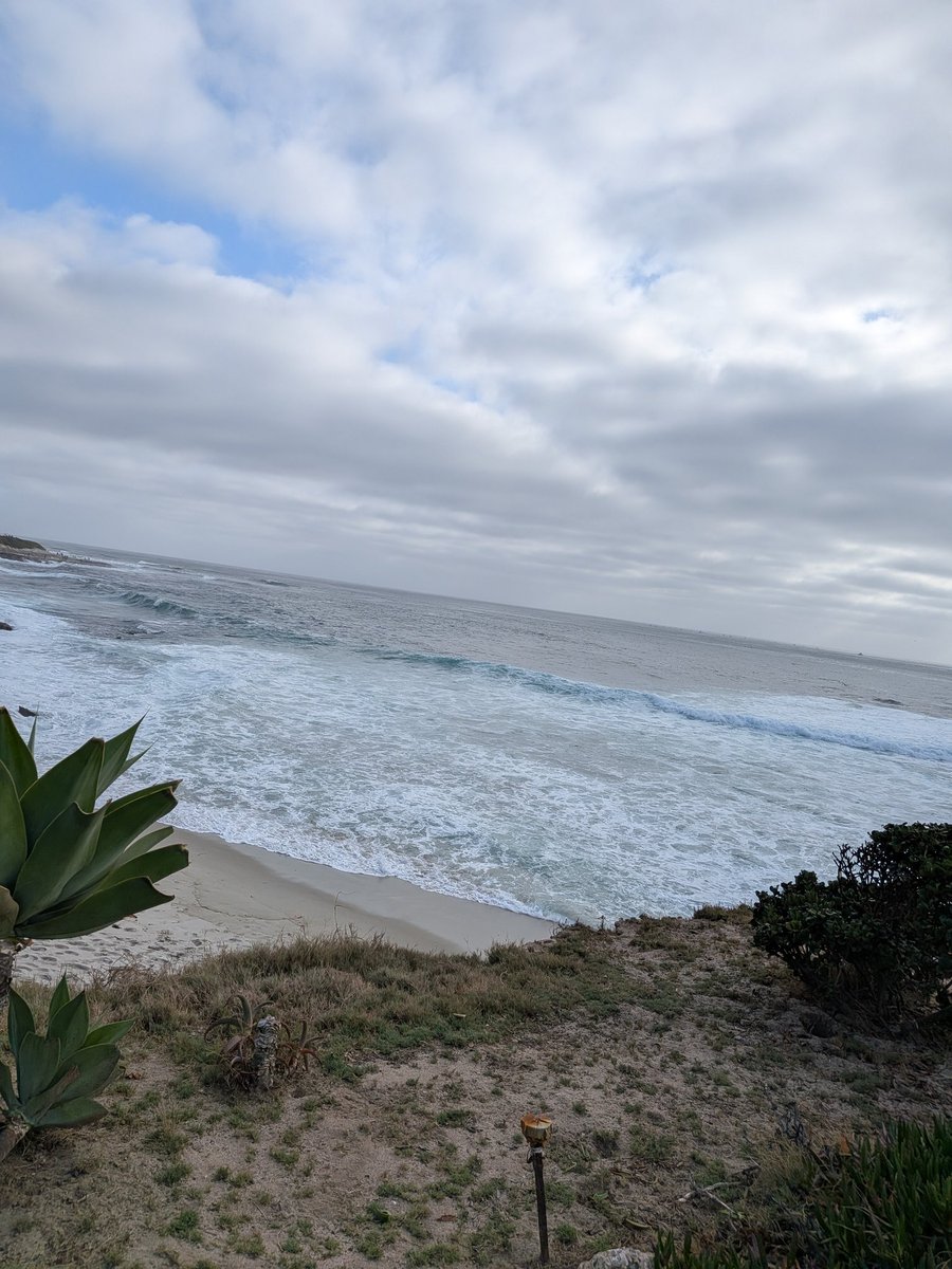kozo2's tweet photo. ラ・ホヤの海辺 https://t.co/yGFpLnbW5p