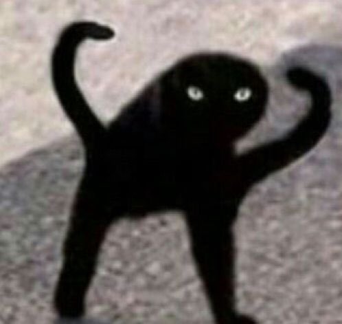 electroLILY's tweet photo. ( pulling up to your house like this, btw ) https://t.co/W2L0yAof4H