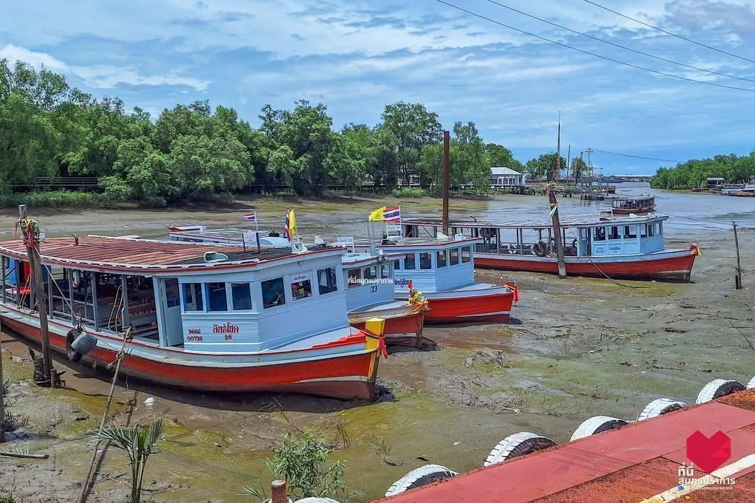 Ruamduay's tweet photo. วันที่ 5 - 6 มิ.ย.69 เรือข้ามฟากปากน้ำ-พระสมุทรเจดีย์ หยุดวิ่งเนื่องจากน้ำแห้ง เวลา 12.00 - 17.00 น. โปรดวางแผนการเดินทาง และเผื่อเวลาในการเดินทาง Cr.ที่นี่สมุทรปราการ https://t.co/nuE4u2iQpl https://t.co/SZm1C3R1Fz