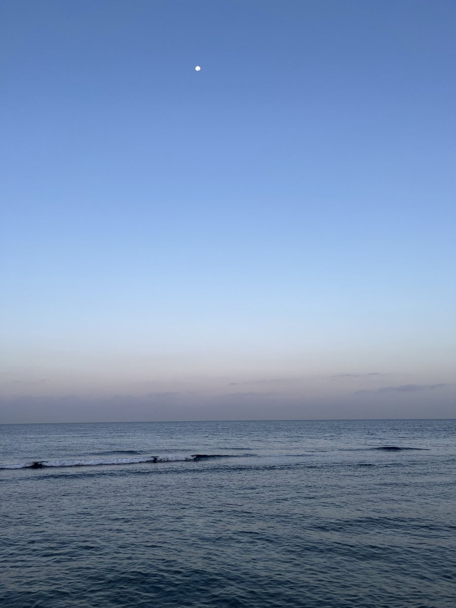 1Moary's tweet photo. Mornings in coastal cities https://t.co/7BthMBKu4w