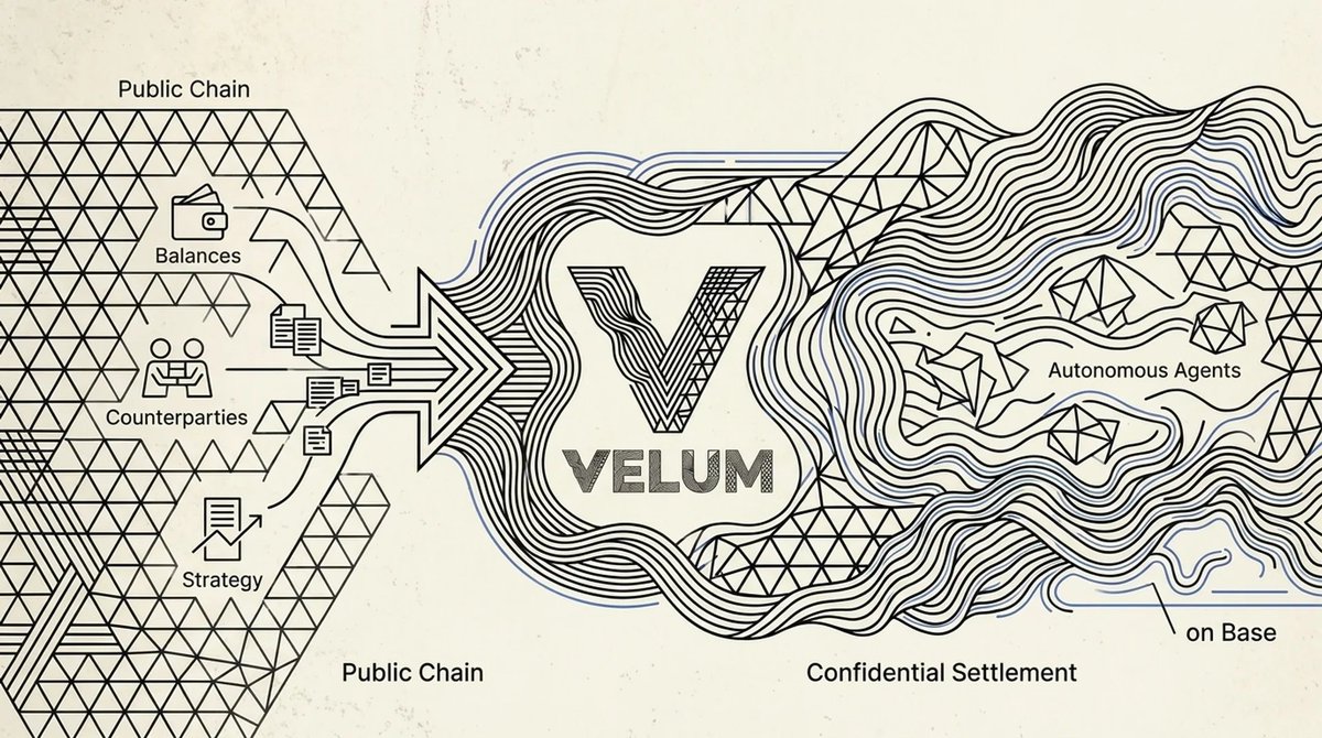 Velum tweet media