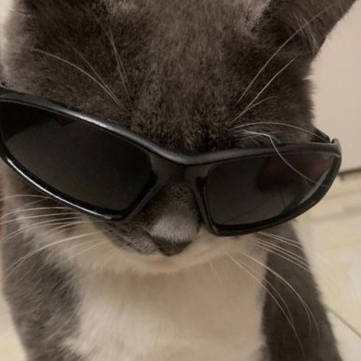 _puddingcat's tweet photo. https://t.co/QDOUDmXzFP