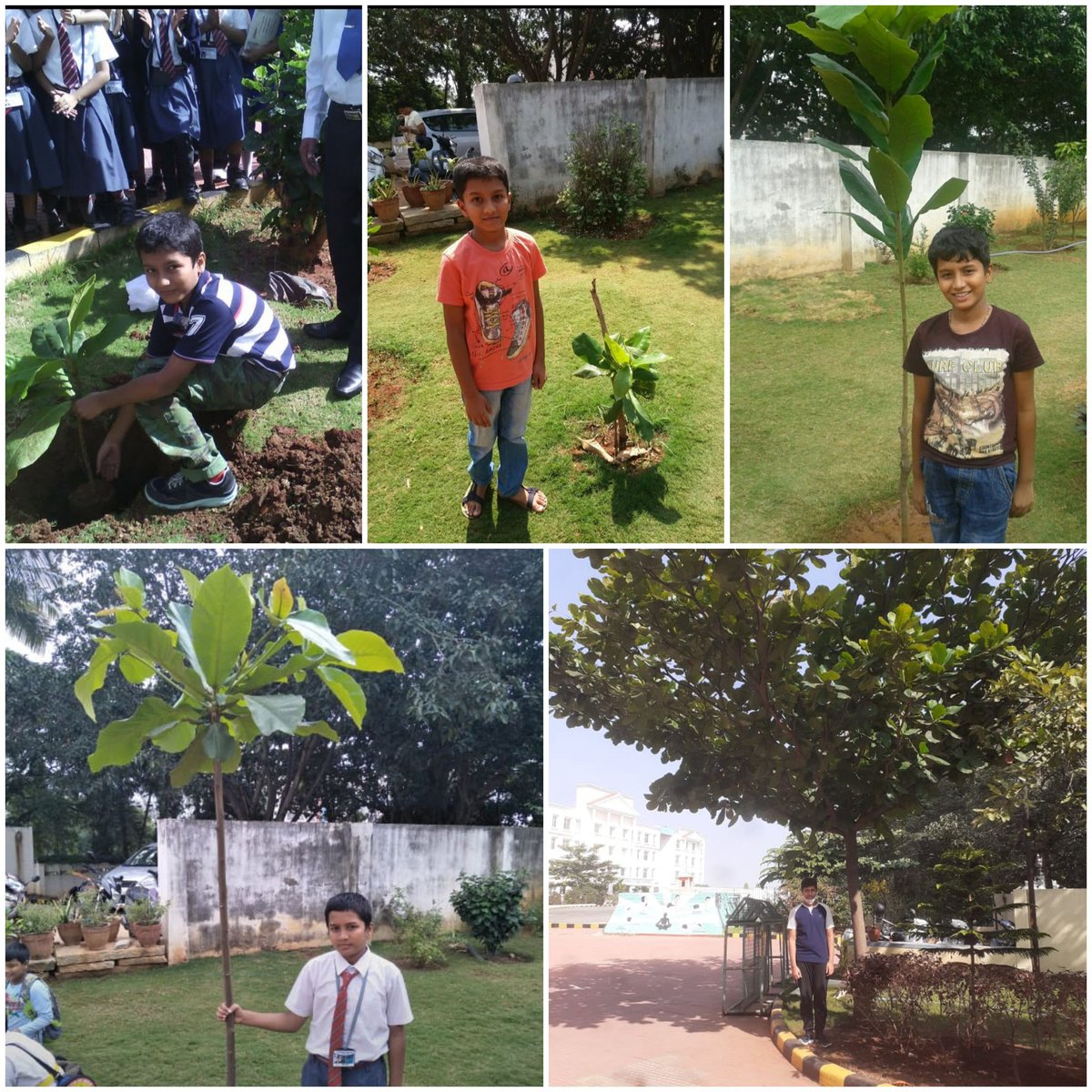 gsramesh29's tweet photo. #WorldEnvironmentDay https://t.co/48JVqHeg9k