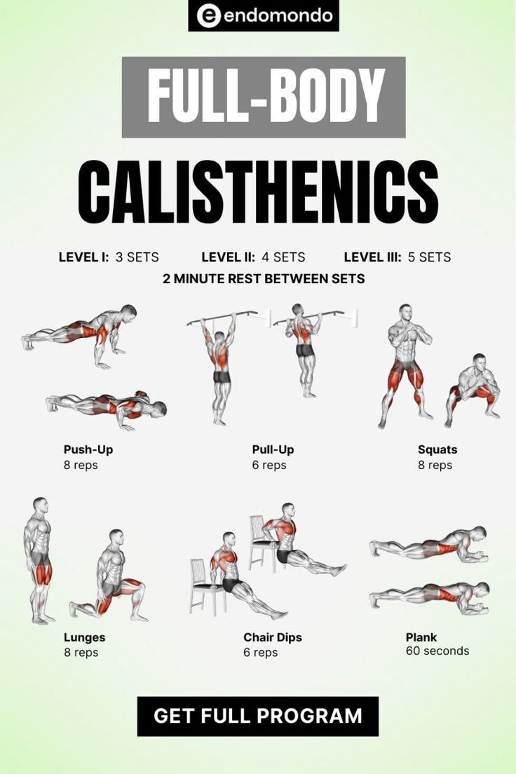 Gains__lab's tweet photo. FULL-BODY CALISTHENICS https://t.co/vseC1K91zj