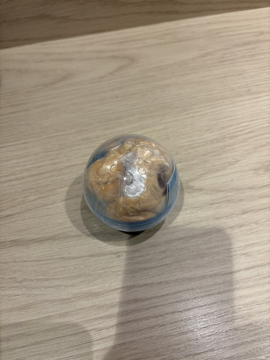 Ec8M8's tweet photo. @0
サンリオ シナモン シナモロール ふわふわ巾着 ガチャガチャ 交換
【譲】カプチーノ
【求】シナモロールorみるく

横浜駅手渡し又は郵送にて交換可能な方いらっしゃいましたらお声がけ下さい https://t.co/JomxGcz7KT