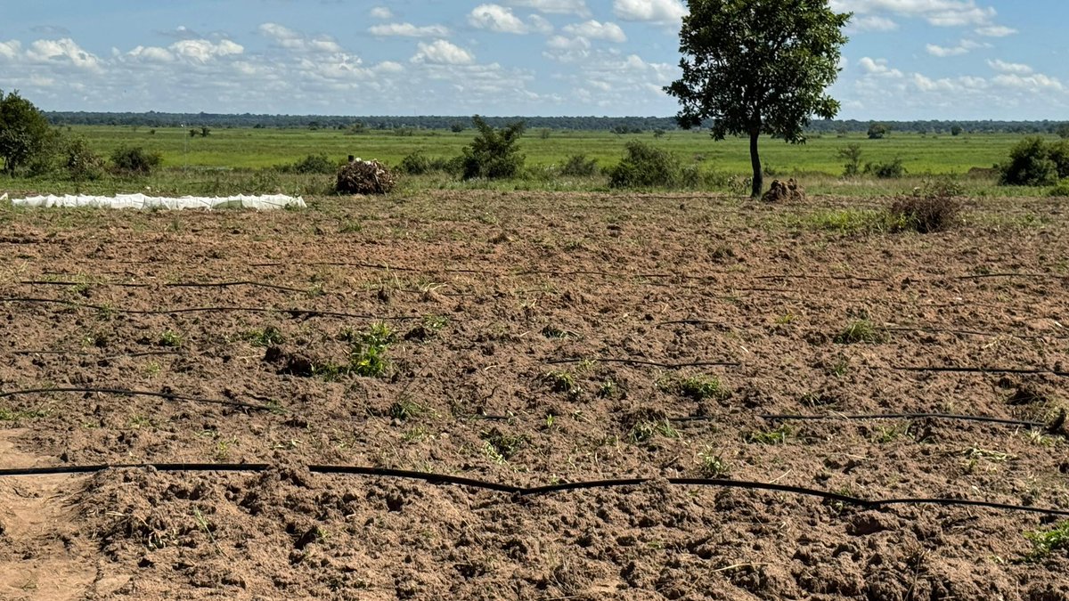 min_waterUg's tweet photo. #MWEworks: @min_waterUg conducted a final inspection and handed over Pailekol Solar-Powered Irrigation Scheme in Getom Sub-county, Katakwi District to boost agricultural production, improve food security, and increase household incomes among local farmers.

@UgandaMediaCent https://t.co/verqCdVCXT