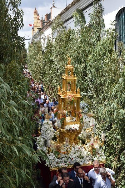 rabasco32's tweet photo. Alucinando con lo hakunera y protestante que está la iglesia en Madrid. No se de qué ha servido tanta contrarreforma y tanta camisa rota contra del lutenarismo de los católicos si al final son una iglesia más de Texas.
Que vaya el papa a Toledo, a Hinojos, a Sevilla o a Lagartera https://t.co/dZaqgYG2sU