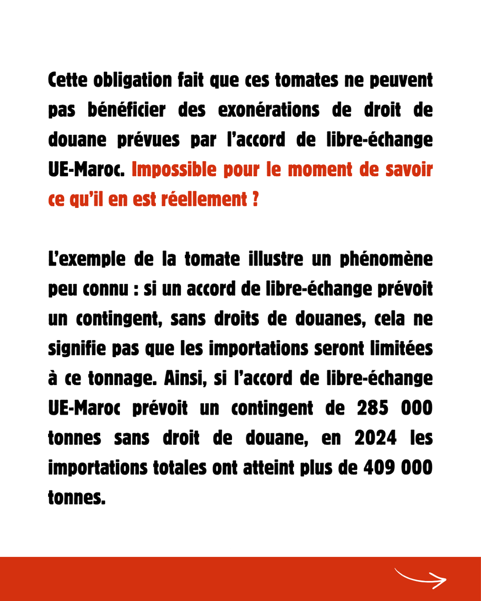 ConfPaysanne's tweet photo. 📢🚨 #Tomates : que fait le gouvernement pour stopper les importations massives ? Il signe des accords de libre-échange, comme l'accord UE-Maroc, qui écrasent les maraicher·ères victimes d'une concurrence déloyale ! 
@Interfel @jonathanchaber1 @FruitsLegumesFR https://t.co/AetBABbnjK