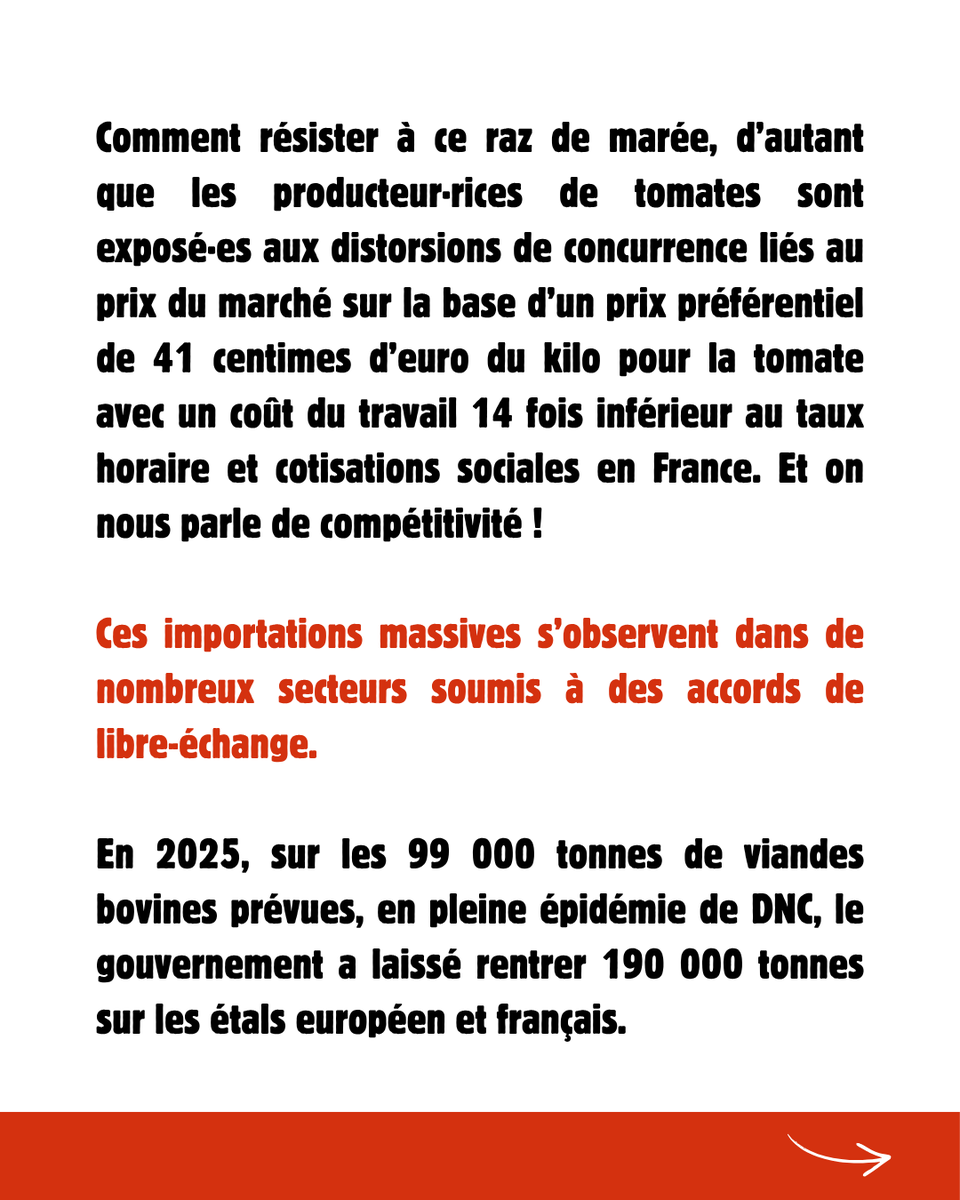 ConfPaysanne's tweet photo. 📢🚨 #Tomates : que fait le gouvernement pour stopper les importations massives ? Il signe des accords de libre-échange, comme l'accord UE-Maroc, qui écrasent les maraicher·ères victimes d'une concurrence déloyale ! 
@Interfel @jonathanchaber1 @FruitsLegumesFR https://t.co/AetBABbnjK