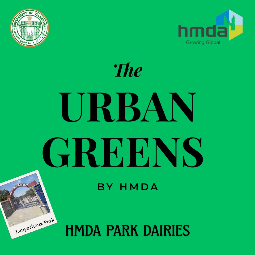 HMDA_Gov's tweet photo. 🌿 The Urban Greens - HMDA Park Diaries

📍 HMDA Langerhouz Lake Park, Langerhouz

Some parks ask you to slow down. Langerhouz Lake Park gives you the space to actually do it.

This sprawling green retreat in Langerhouz is one of HMDA's urban sanctuaries-where open landscapes and serene waters create the perfect escape from the city's pace. Whether you're here for a refreshing morning walk, an evening with family, or simply a moment to yourself, the park offers a peaceful experience for all.

✨ Highlight: A true lake park in every sense-where the water isn't just a backdrop, but the heart of the space. Open, unhurried, and green at every turn.

Come discover a quieter side of the city.

Reconnect. Refresh. Rejuvenate.

At your nearest HMDA Park. 🌳

#TheUrbanGreens #HMDAParkDiaries #HMDAParks #LangerhouzLakePark #HyderabadParks #LakePark #UrbanGreenSpaces #ReconnectRefreshRejuvenate