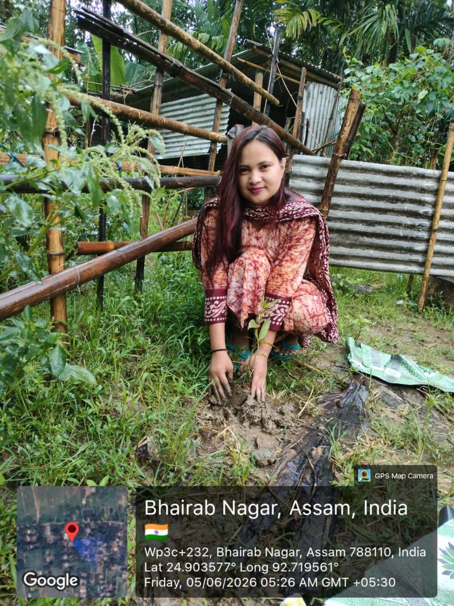 himantabiswa's tweet photo. Assam's Nari Shakti is leading the greening efforts on this World Environment Day.

Across Assam, over 35 lakh women SHG members will be planting 1 crore saplings in a coordinated effort to increase our green cover.

Some glimpses 📸 

#Assam1CrTrees https://t.co/tq8YTfYtje