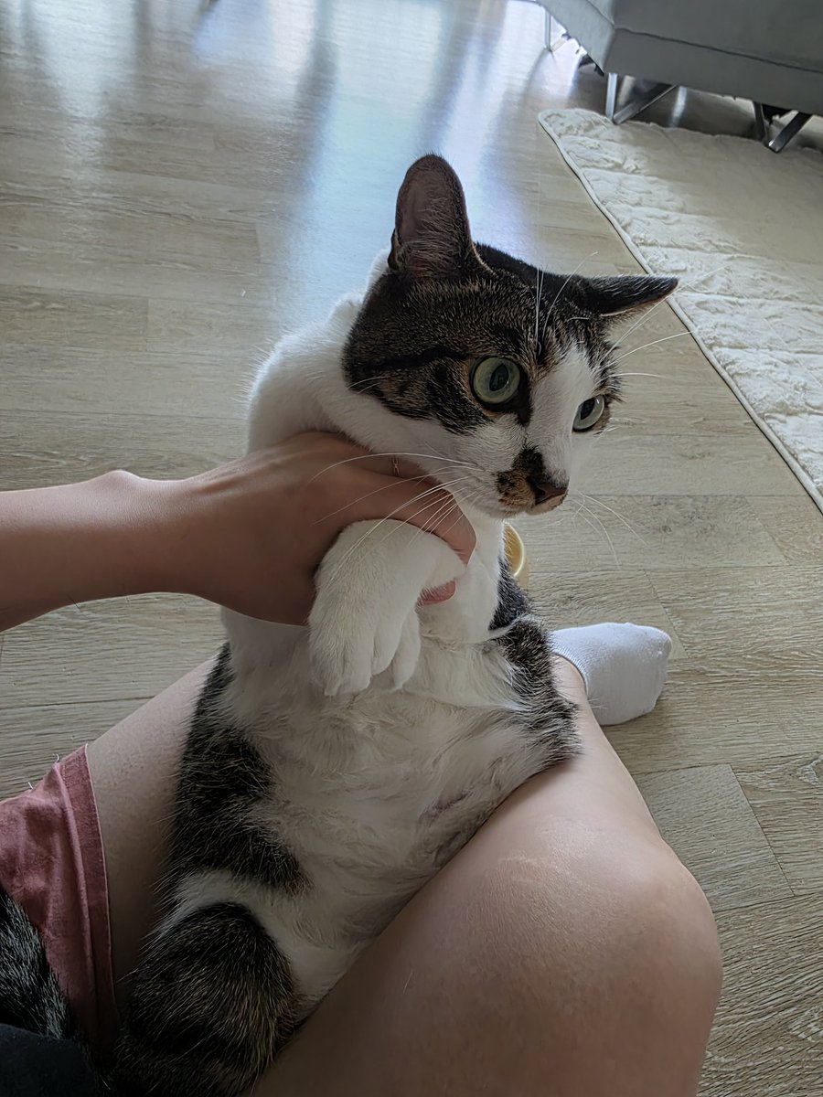 Grand1eta's tweet photo. 🐾 https://t.co/ejBkqZxuJt