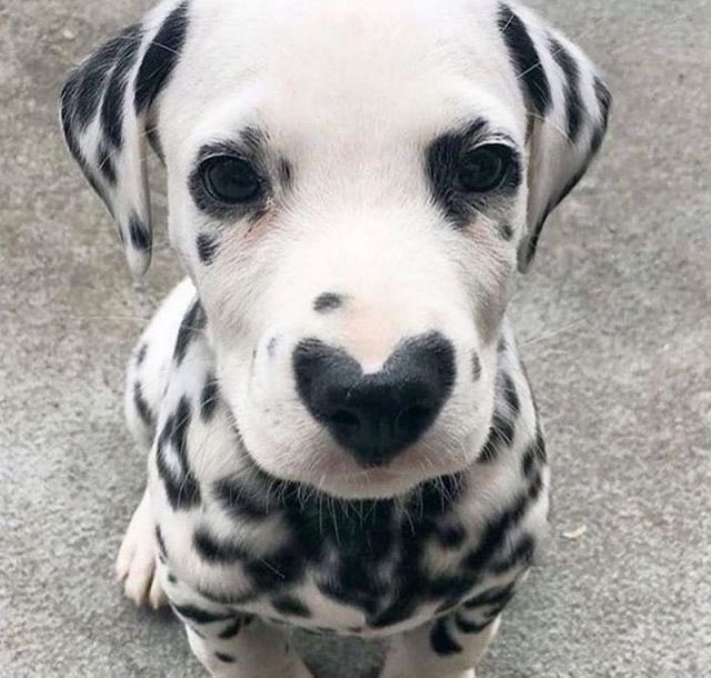 Quinnqueens's tweet photo. @vinaymishra1961 @BraulioLamas @nena_bovb51 @musfaca @Jilliemary @sasha_stana @nuvisionquestt4 @tripletsfan19 @___B4U @suriyamaham @majd9757 @insaurraldeh @GFBS17 @HumbleIndian @mamiRD_ @AngelickaStrada @MagDivina @jet_new @__B4U @mamird .•*⁀•🍃💛🍃
¸.• ´¸.•*´¨) ¸.•*¨) .•*⁀•
(¸.•´ (¸.•'* 🍃💛🍃¸¸¸.•*⁀•
ℬ𝑒 𝒦𝒾𝓃𝒹
#TmKindness 🎀
ℋ𝒶𝓅𝓅𝓎 ℱ𝓇𝒾𝒹𝒶𝓎 ℱ𝓇𝒾𝑒𝓃𝒹𝓈 💛
“Do more of what makes you happy, life’s too short for regrets.” https://t.co/WydnpRak85