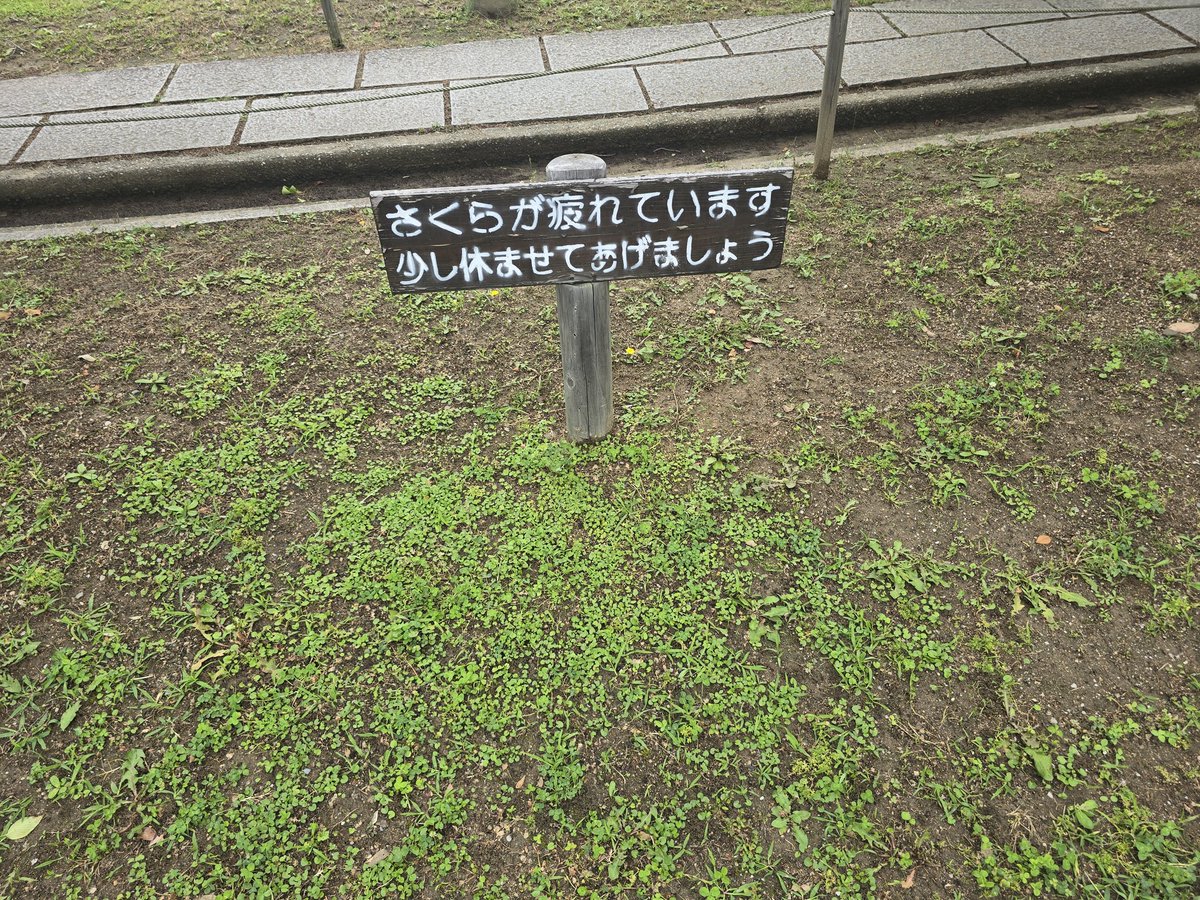tkjs_ tweet picture