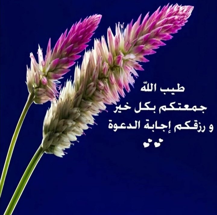 JassimAljabal2's tweet photo. https://t.co/8fsLka7rgO
