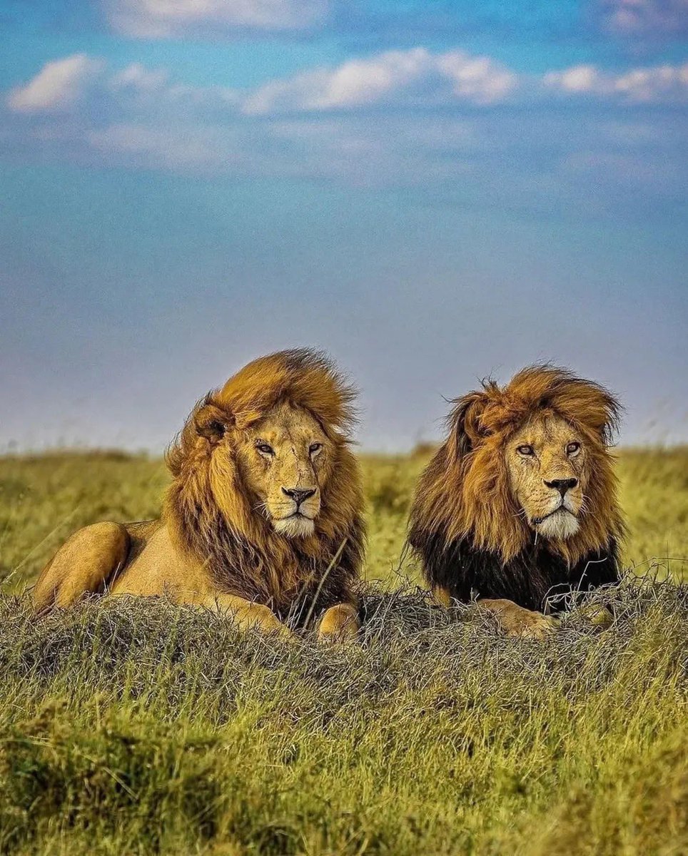 Naturinda96's tweet photo. Good morning my good friends 🥰🫂

Have a blessed day 🙏 https://t.co/JIFqV9oER4