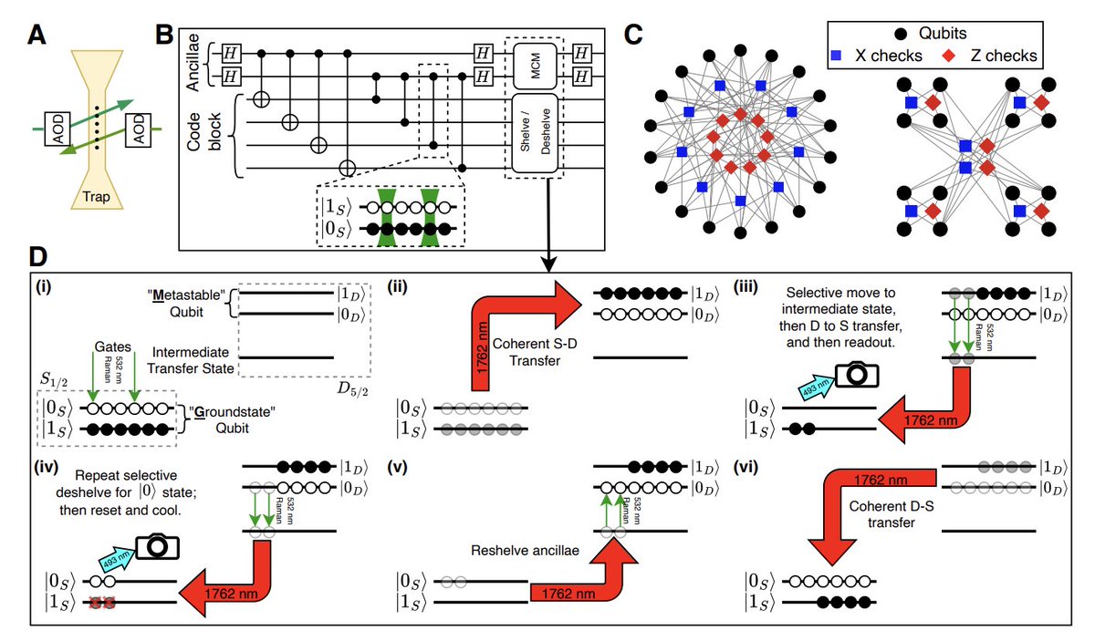 DesFrontierTech's tweet photo. $IONQ

IonQ posted a paper titled "Breakeven demonstration of quantum low-density parity-check codes." Eleven IonQ authors, including Edwin Tham, Michael Goldman, Kenneth Wright, and Nicolas Delfosse.

Quantum computers work with individual atoms or other tiny physical systems as their basic units. Each unit is a physical qubit, and physical qubits are extremely fragile. Small disturbances cause errors that accumulate fast.

The way around this is quantum error correction. Many physical qubits group together to encode one logical qubit, a virtual unit more reliable than any of the physical qubits underneath. The logical qubit is what actually does the computation. The physical qubits constantly check each other for errors and correct them. A code is the specific recipe for how those physical qubits work together.

Breakeven is the milestone where the logical qubit lives longer than the physical qubits inside it. The error correction is fixing errors faster than the system is adding new ones from the overhead of running the code. Before breakeven, error correction is theoretical. After breakeven, it works.

Google reached breakeven last year on superconducting hardware. Superconducting qubits are tiny circuits cooled to near absolute zero. IBM, Google, and several others build on this approach.

Today IonQ reached breakeven on trapped-ion hardware. Trapped ions are individual atoms held in place by electric fields. No deep cooling needed.

IonQ ran nine different error-correcting codes across three different code families. All on the same 40-ion device. No hardware changes between codes. The best logical qubit lived 3.95 seconds. The physical qubits underneath it lived 3.3 seconds. The logical qubit outlived the physical qubits it was built from.

The technical innovation is called OMG. The system reads out individual qubits in the middle of a computation, then resets them, without physically moving any ions around. Other trapped-ion systems spend most of their runtime moving ions back and forth between different zones of the chip. They also dedicate up to half their qubits just to cooling the ones doing computation. IonQ's approach eliminates both.

The paper also makes a direct comparison to a recent IBM result. Same code and same qubit counts. IonQ's logical error rates came in 4 to 9 times lower. IBM had built a chip with custom structures just to run that one code. IonQ ran nine codes on the same standard device.

IonQ has joined the small group of companies that have demonstrated fault-tolerant error correction at breakeven. Google did it last year on superconducting hardware. IonQ did it today on trapped ions. 

Where the comparison is direct, IonQ's hardware comes out ahead. The error rates were 4 to 9 times lower than IBM's on the same code. IonQ ran nine codes on its standard hardware where IBM required a custom chip just for one. And other trapped-ion systems carry transport and cooling overhead that IonQ's design avoids. The architectural bet is paying off in the field's most demanding experimental test.