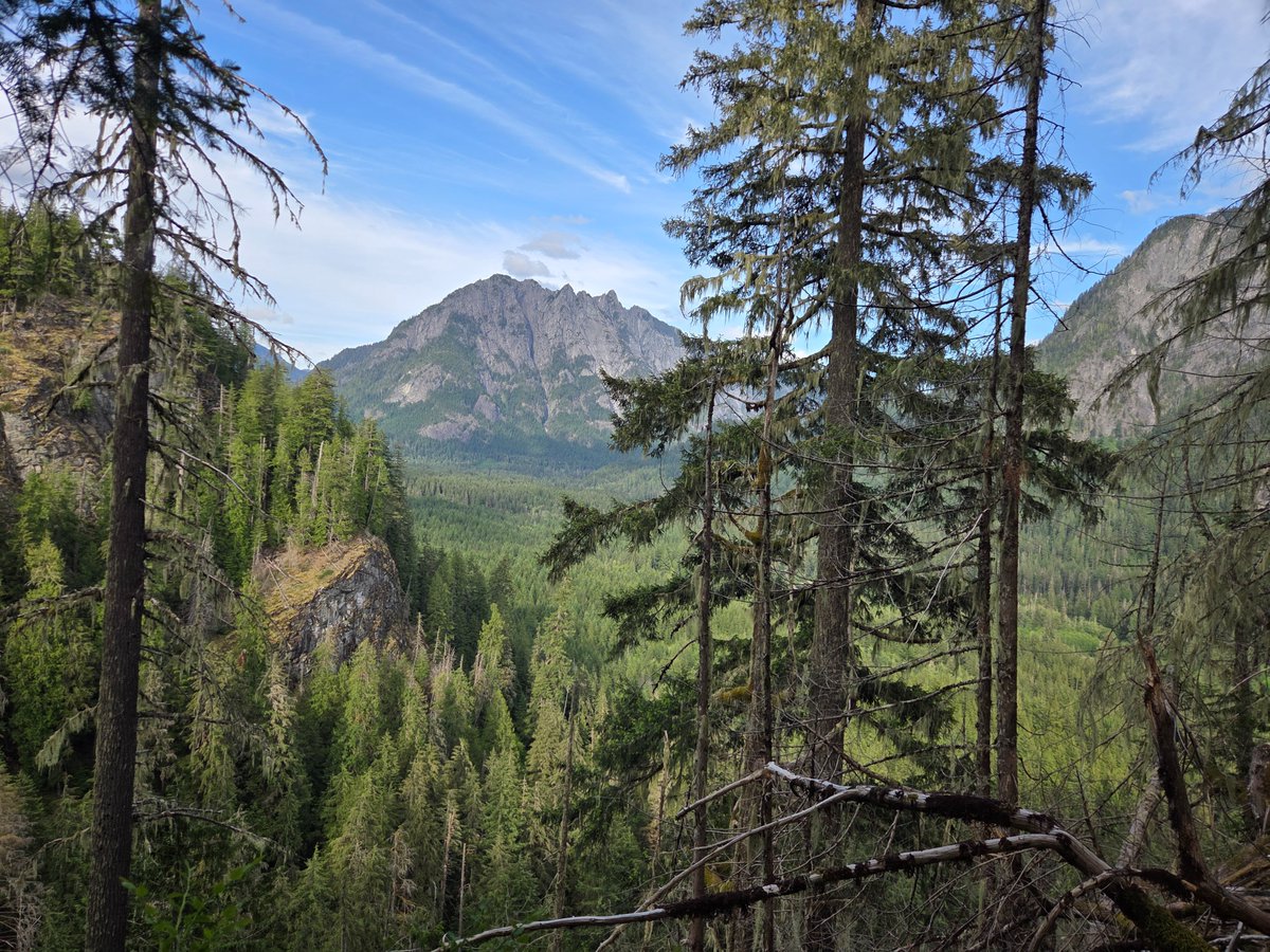 suspirant's tweet photo. My allergies in the city were horrific today so I ran off to the forest to recover https://t.co/iqyAhkbx3l