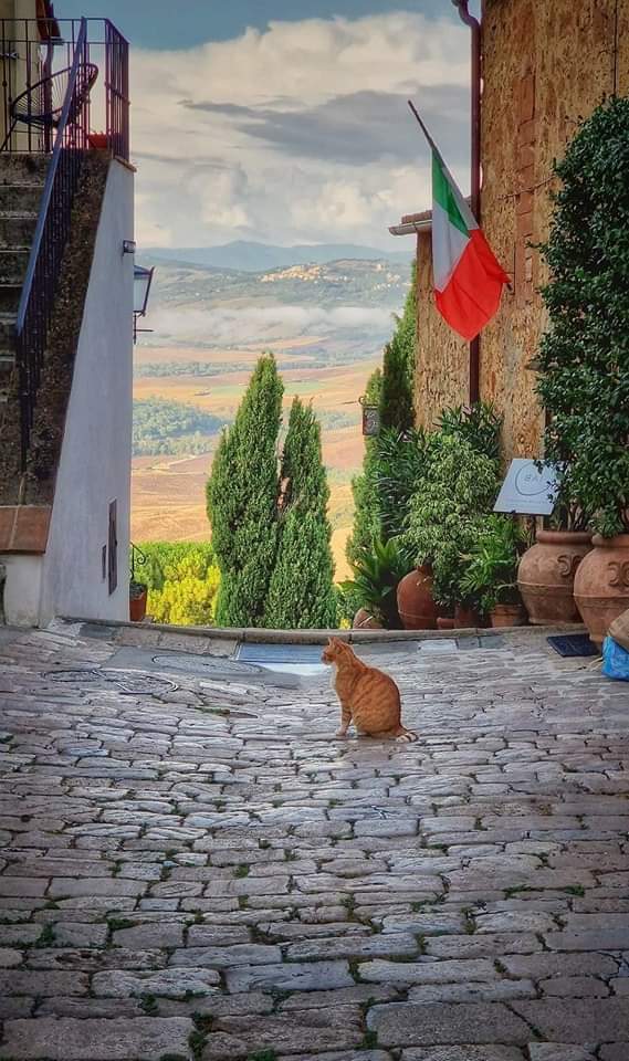 BurgisRic's tweet photo. Buongiorno Roma 👮‍♂️🇮🇹 https://t.co/J15stc8so0