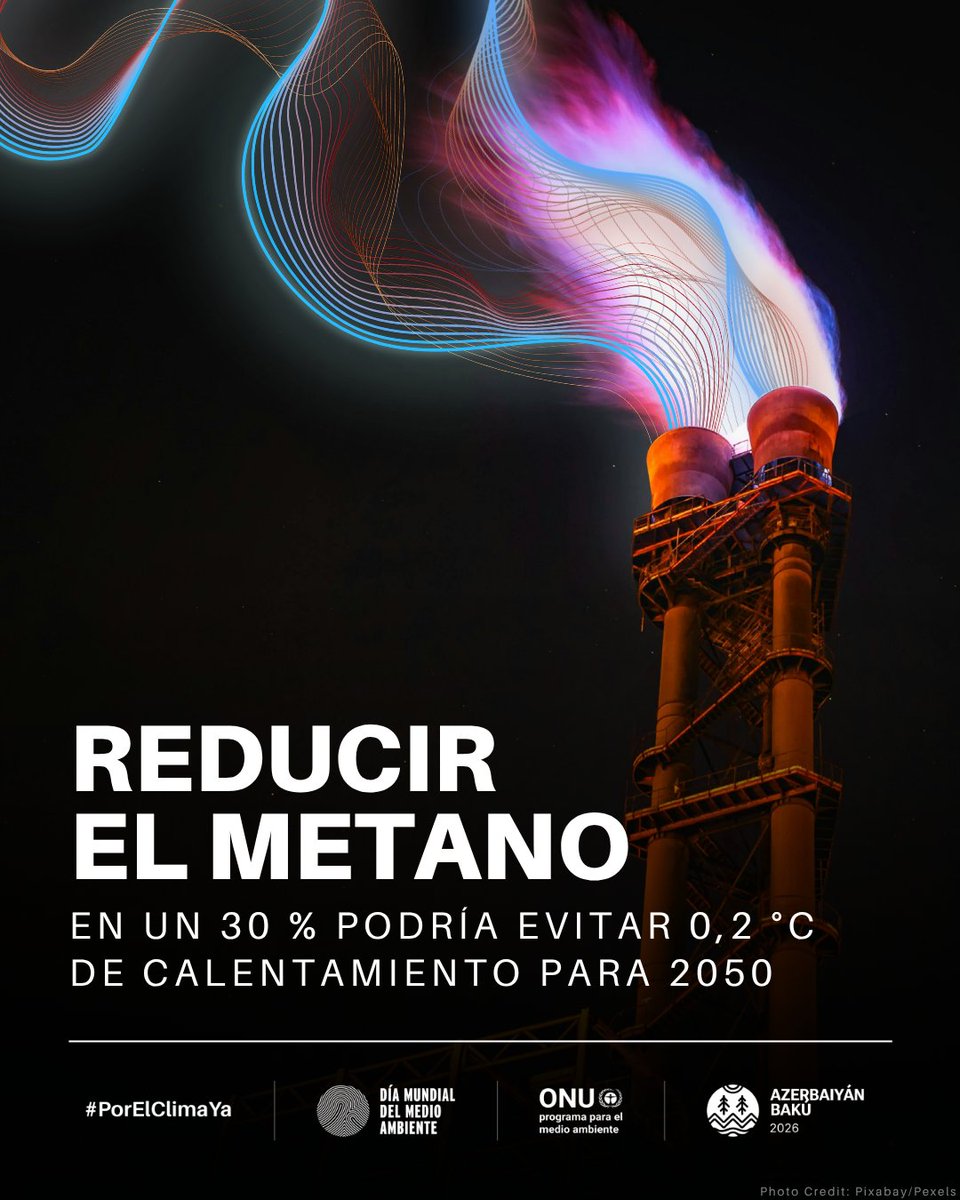 inst_humboldt's tweet photo. El hecho de que la energía solar y eólica superen al carbón en algunos mercados, hasta las oportunidades económicas que se abren gracias a la resiliencia climática, la transición ya no es solo teoría.

#DíaMundialDelMedioAmbiente #PorElClimaYa https://t.co/Fgy9ptk3HJ