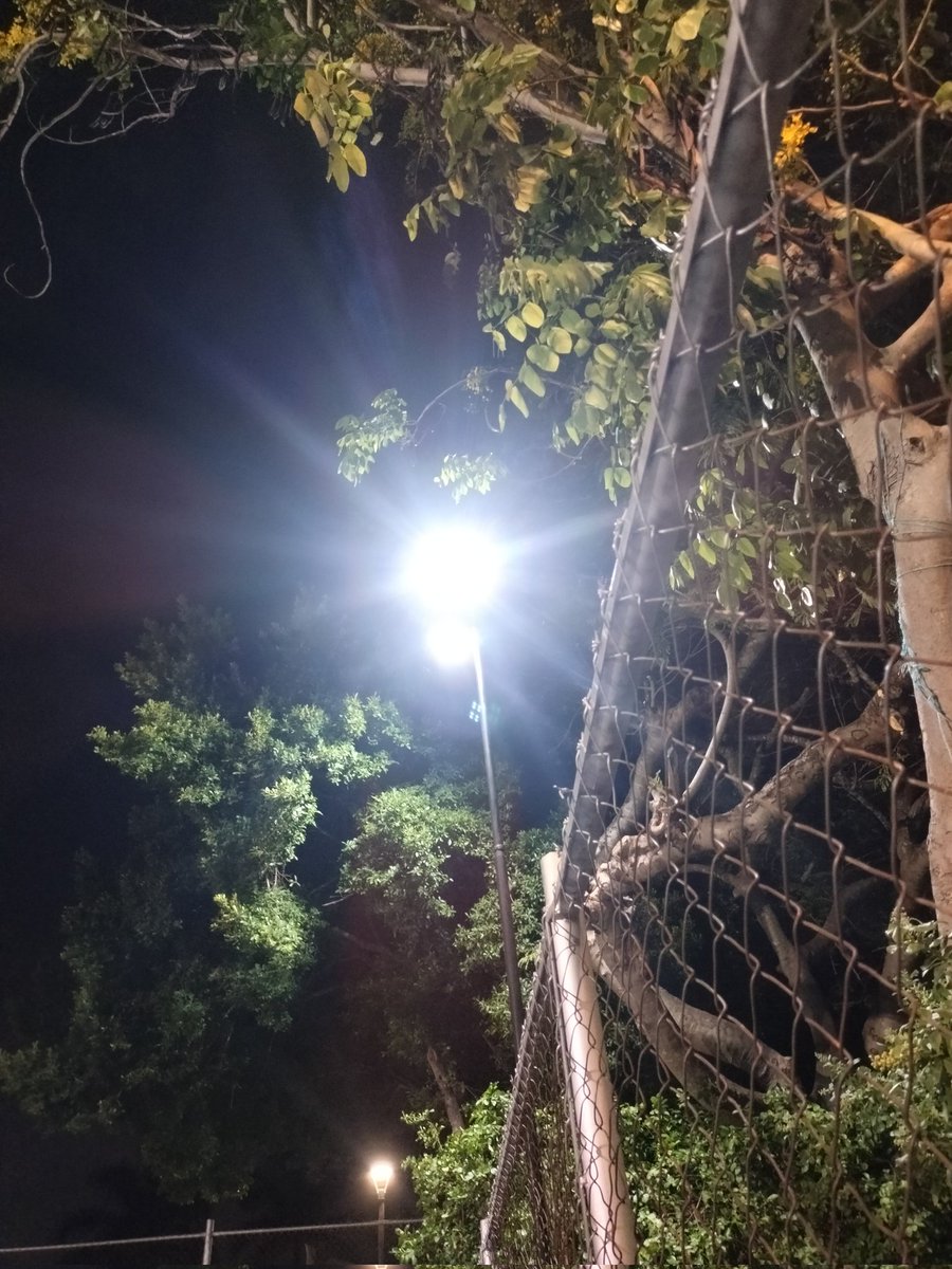 nando0610's tweet photo. Buenas noches Alcaldesa @CeciliaPatronL @SPMerida_ muchas gracias por su ayuda en la podada de los árboles, solo falto las lámparas de led parque chac Mool 
Gracias https://t.co/RjHHKsiP3M