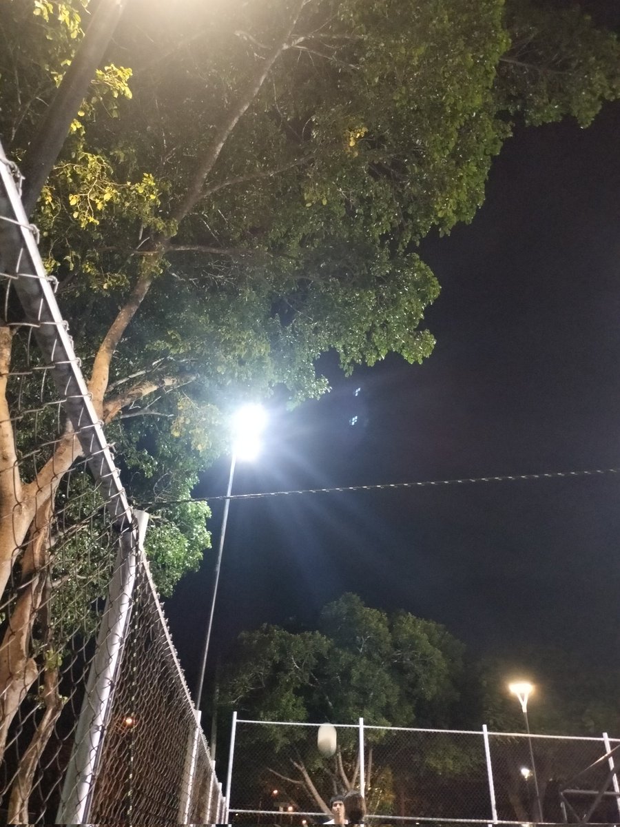 nando0610's tweet photo. Buenas noches Alcaldesa @CeciliaPatronL @SPMerida_ muchas gracias por su ayuda en la podada de los árboles, solo falto las lámparas de led parque chac Mool 
Gracias https://t.co/RjHHKsiP3M