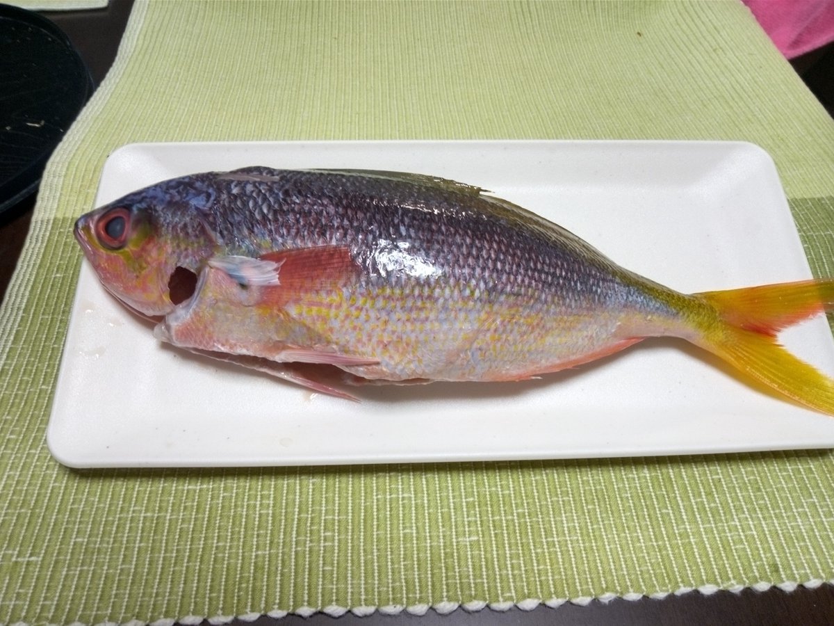 okisonousui's tweet photo. ～毎月３日から７日は
　さかなを食べよう🐟～

「#さかなの日」にちなんで、県魚であるグルクンを購入してバター焼きで食べてみました。
バターとニンニクの風味が、素人が作ってみてもおいしく頂くことができました。 https://t.co/fVYex1oB22