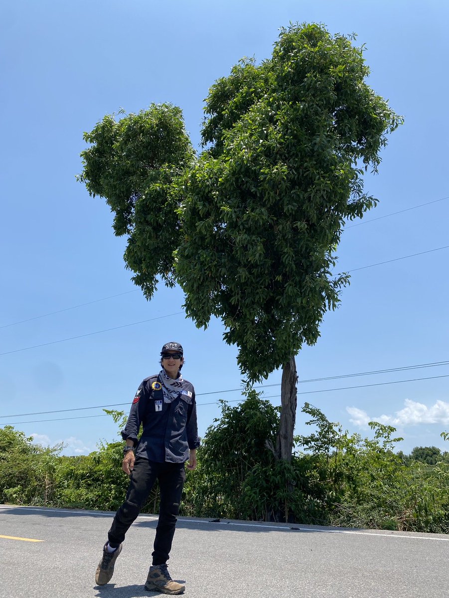 tik_pholdee's tweet photo. สวัสดี #วันสิ่งแวดล้อมโลก2026 #WorldEnvironmentDay2026 นะคะ 💚🌳🌈 05/06/2026 https://t.co/x4TEBPj7fz