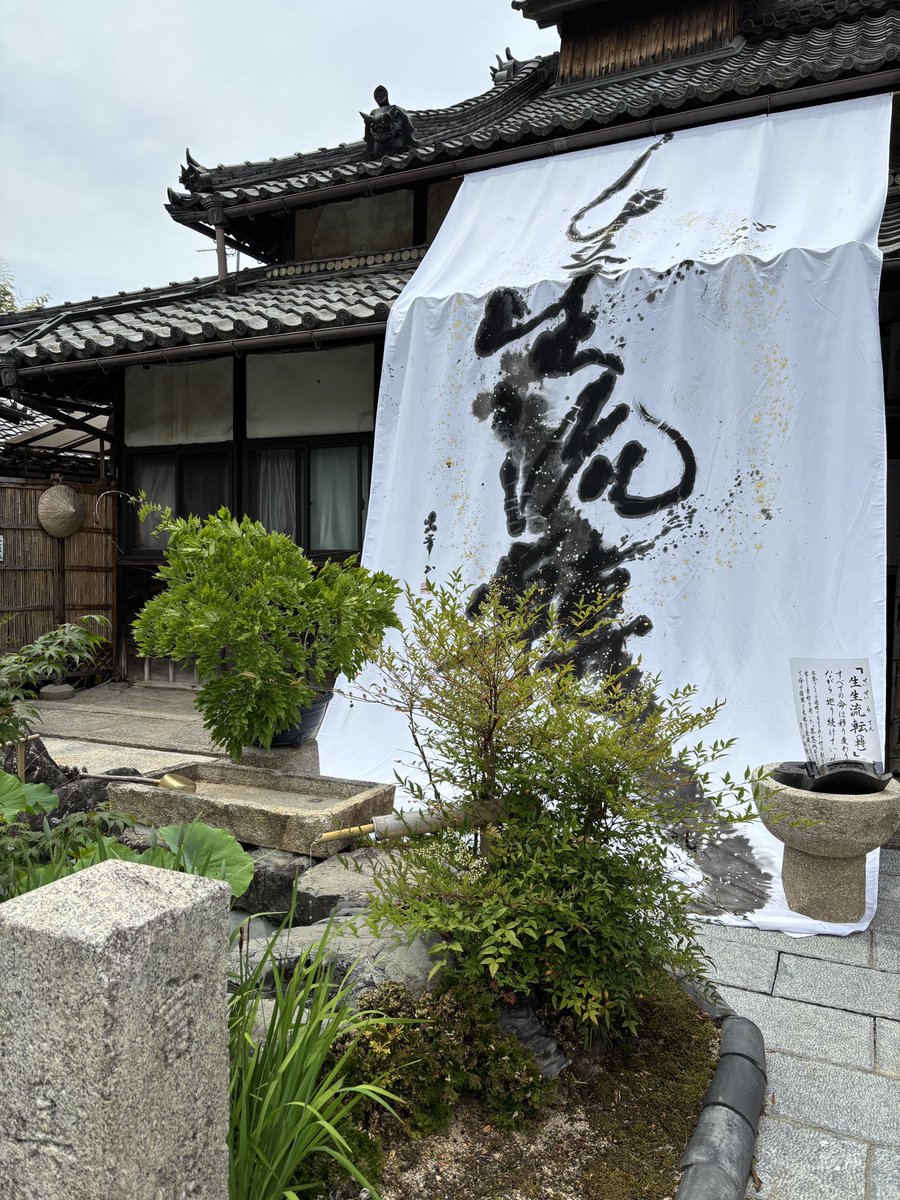 cresosaka's tweet photo. 奈良、長弓寺
咲き始めの紫陽花とマツバギク
蓮池の美しいお寺さんでした。 https://t.co/7qY0xQDI0C