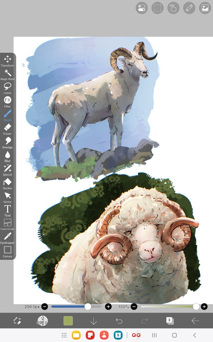 sasalice_7's tweet photo. 🐏 they're actually so cute https://t.co/ClOqli8c2l