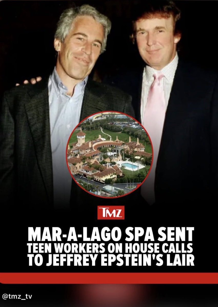 troixa's tweet photo. @LowtherWally No, they’re trying to remove a S*x Offender from the White House https://t.co/5S3S2pvxNS