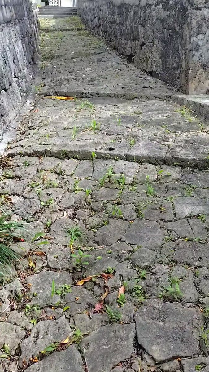 CCjyosan's tweet photo. 那覇市小禄の住宅街にある石畳道「神通(カミミチ)」。

祭祀が行うノロが御嶽へ向かうために通ったと。戦前〜明治時代の石畳も残っておりなかなか趣。
道の途中には小禄ノロ殿内もある。

近くにはいくつかの拝所もあり、石畳を過ぎて坂を登りきると森口公園。　

#那覇散歩 #那覇市 https://t.co/00Zo0oRMOB