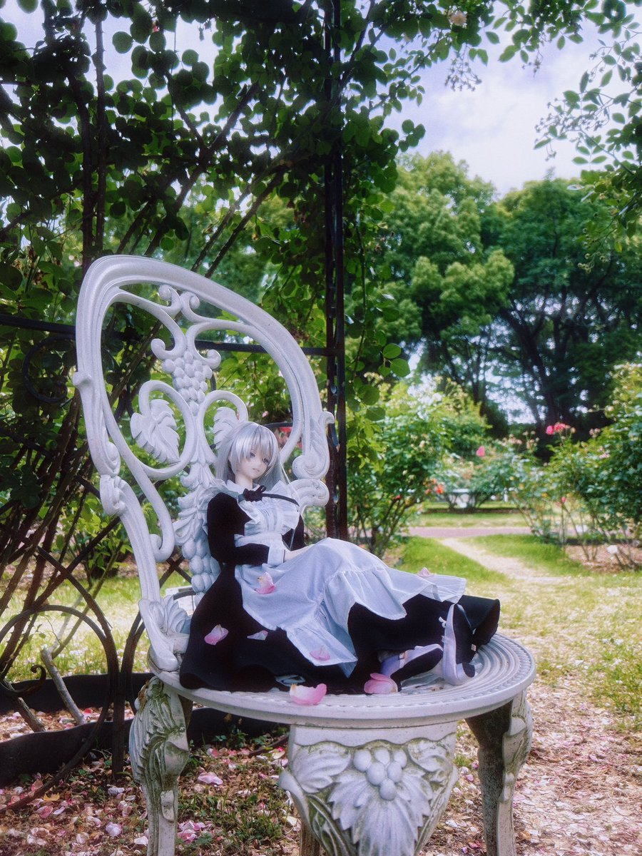 _photonblue_'s tweet photo. ＊ドール https://t.co/UxvKIfwLDN
