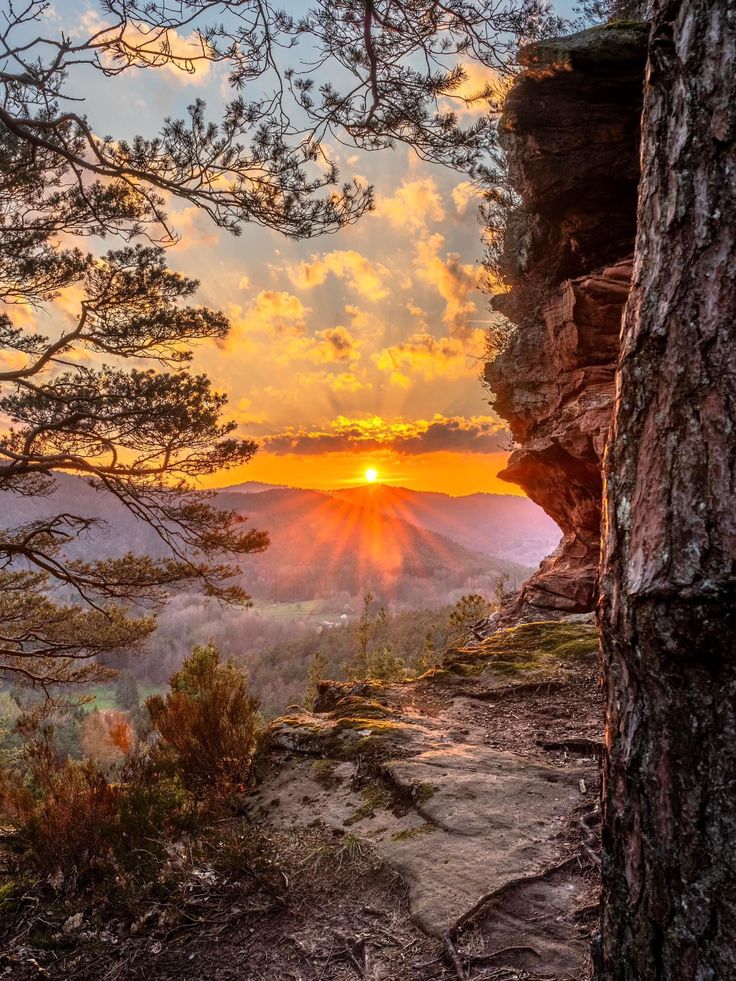 FrancescaA84345's tweet photo. #BuongiornoATutti 🌞🍀🌞
#Buonvenerdì 😘❤️ https://t.co/sJwTelFFax