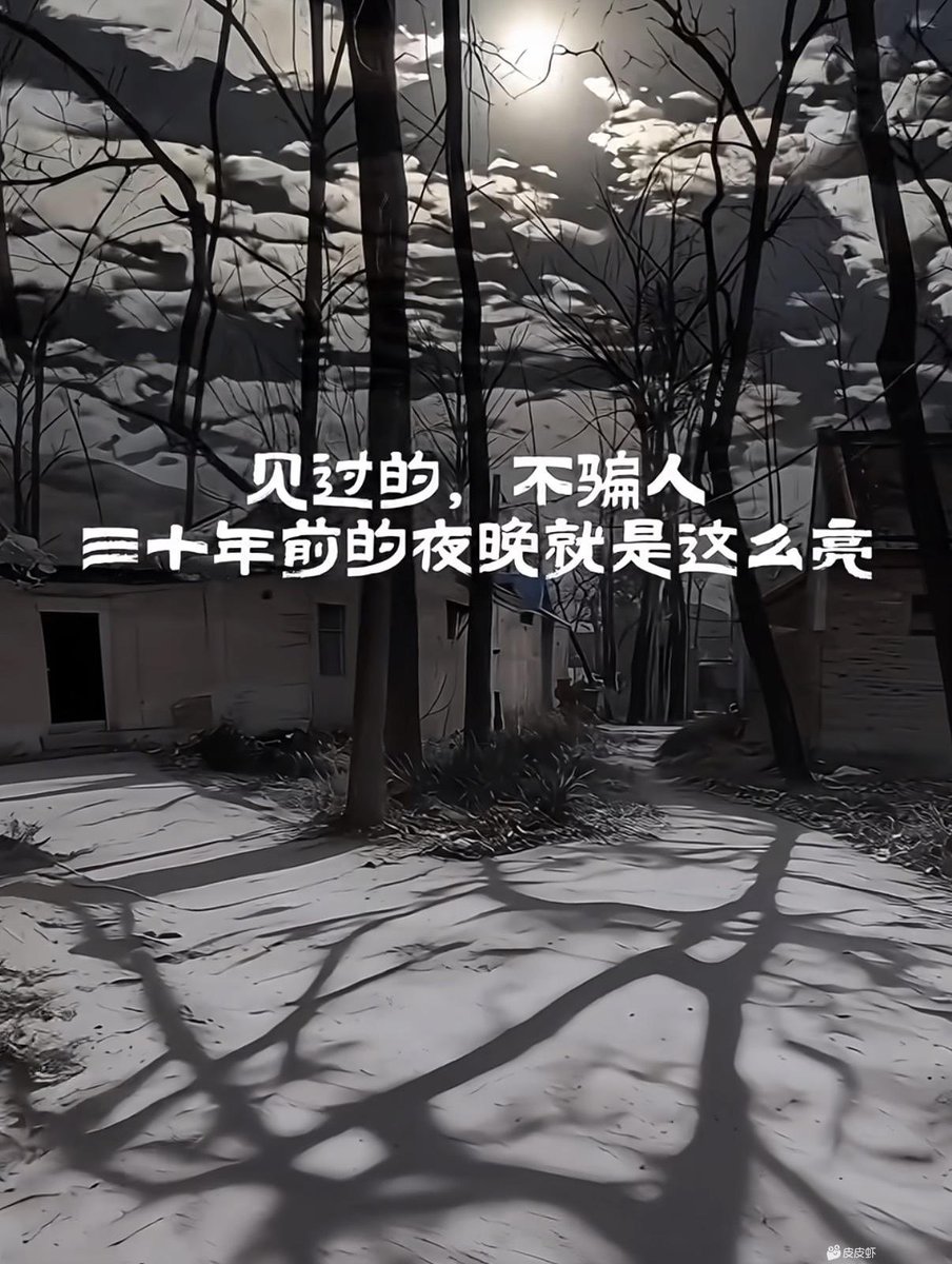 夏雪宜 tweet media