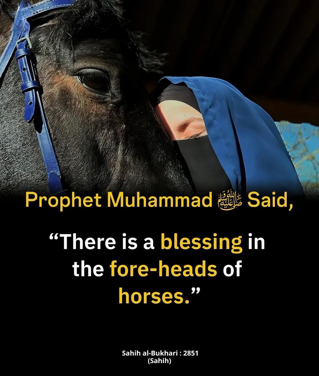 HaleematourS's tweet photo. The Messenger of Allah ﷺ said: https://t.co/vMTQvnR75d