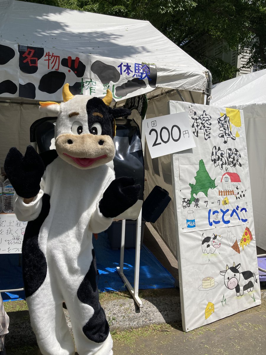 HokudaiAgr's tweet photo. 北大祭が始まりました！

メインストリートの農学祭の模擬店は緑の幟が目印です。

農学部建物では、展示企画も行っています。

北大祭は本日から6/7（日）までの3日間。

たくさんの方のご来場をお待ちしています。

#北海道大学
#北大農学部
#北大祭 https://t.co/jkTGGiDCDu