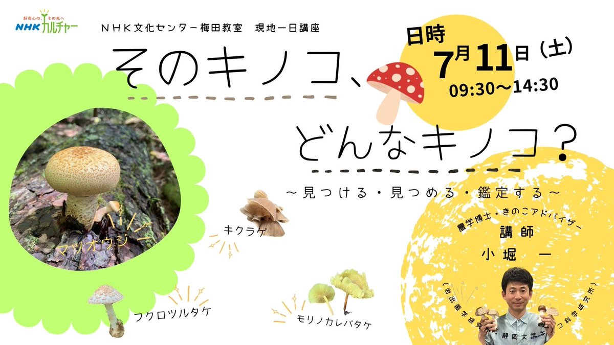 申込受付中】7/11（土）【そのキノコ、どんなキノコ？】 この夏