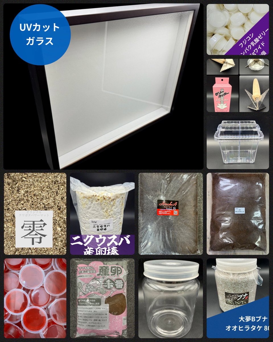 入荷のご案内】 この数日で入荷がたくさん来てました🤩 ティーウッド様