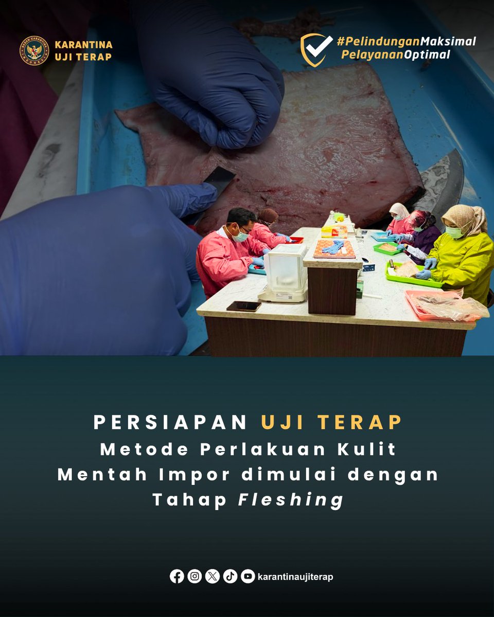 buttmkhit's tweet photo. Sebelum diuji, kulit mentah impor harus melalui proses fleshing.
Tahap awal ini jadi bagian penting dalam Uji Terap Metode Perlakuan Kulit Mentah Impor untuk mendukung keamanan dan mencegah masuknya penyakit melalui media pembawa.

#Barantin #PelindunganMaksimalPelayananOptimal https://t.co/RDBrRnaR5b