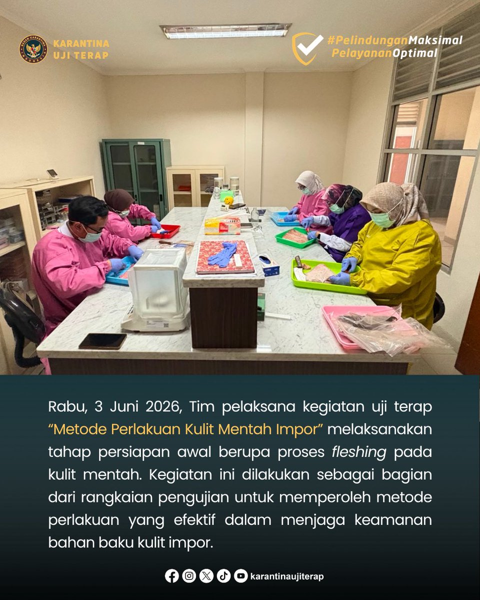 buttmkhit's tweet photo. Sebelum diuji, kulit mentah impor harus melalui proses fleshing.
Tahap awal ini jadi bagian penting dalam Uji Terap Metode Perlakuan Kulit Mentah Impor untuk mendukung keamanan dan mencegah masuknya penyakit melalui media pembawa.

#Barantin #PelindunganMaksimalPelayananOptimal https://t.co/RDBrRnaR5b