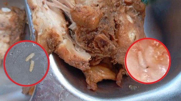 ArifLabMed's tweet photo. @stilljester @Jateng_Twit Udah tau MBG adalah pengganti sesajen, kok malah dimakan, kualat kan, keracunan https://t.co/bdpsa0KbHN