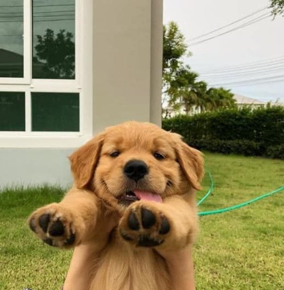 Feel Good Animals 🐾 tweet media