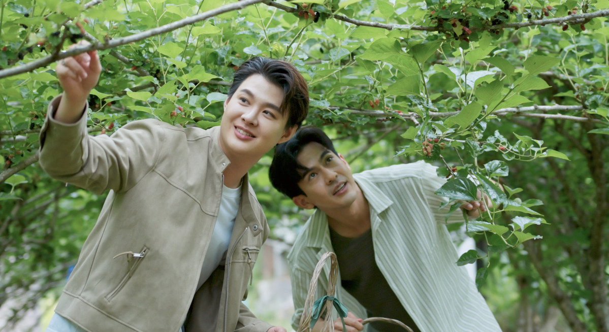 dailyscoopsnews's tweet photo. " หอมแผ่นดิน กลิ่นไอเกษตร " บุกโคราช! "เต้ย - เซ้นต์" #Saint_sup #เต้ยพงศกร ตะลุยวิถีเกษตรแปรรูปสุดพรีเมียม สัมผัสนวัตกรรมจากผืนดินสู่สากล

ร่วมเดินทางไปกับพิธีกรหนุ่ม เต้ย พงศกร และแขกรับเชิญ เซ้นต์ ศุภพงษ์ใน One Day Trip  ณ จังหวัดนครราชสีมา เริ่มต้นความสดชื่นด้วยการพายเรือคายัค ชมความงามของนํ้าผุดธรรมชาติสีฟ้าคราม ณ วิสาหกิจชุมชนท่าช้าง ก่อนจะแวะเช็กอินแหล่งของฝากระดับตํานานที่ "ไร่สุวรรณ" ลิ้มรสชาติความหอมหวานของนํ้าข้าวโพดและข้าวโพดฝักนึ่ง ที่ส่งตรงจากงานวิจัยสู่มือผู้บริโภค และไฮไลท์ที่พลาดไม่ได้คือการสวมบทบาทเกษตรกรลงมือเก็บองุ่นสด และมัลเบอร์รี่ลูกดกสีดําสนิทเต็มต้นท่ามกลางบรรยากาศที่โอบล้อมด้วยธรรมชาติ เพื่อเรียนรู้ภูมิปัญญาที่รักษาคุณค่าจากผืนดินไว้อย่างดีเยี่ยม
ความตื่นตาตื่นใจยังอยู่ที่การยกระดับผลผลิตทางการเกษตรจากไร่มัลเบอรี่เขาใหญ่ ที่แปรรูปมัลเบอรี่ให้กลายเป็น “ผลิตภัณฑ์แปรรูปโฮมเมดระดับพรีเมียม" แยมมัลเบอร์รี่สูตรลับที่เน้นเนื้อผลไม้แบบเต็มคํา ไม่ใส่สารกันเสีย ตอบโจทย์กลุ่มลูกค้าที่รักสุขภาพ เป็นที่ชื่นชอบถึงต่างแดน 
นอกจากนี้ผู้ที่สนใจเรื่ององุ่นห้ามพลาดกับ ไร่องุ่นเจริญทรัพย์ ที่จะพาผู้ชมไปเก็บผลองุ่นสดๆ กันถึงต้น บอกเลยว่าแต่ละที่ ธ.ก.ส. ยังคงเป็นกองหนุนที่สําคัญในฐานะเกษตรกรหัวขบวน ที่เข้ามาสนับสนุนการสร้างโรงแปรรูปที่ได้มาตรฐาน พร้อมทั้งนําเทคโนโลยีมาใช้ยืดอายุสินค้าและขยายตลาดผ่าน Branch Outlet ของธนาคารทั่วประเทศ เพื่อสร้างรายได้หมุนเวียนให้คนในชุมชนอย่างยั่งยืน 
มาร่วมสัมผัสความสุข ความสนุก พร้อมแรงบันดาลใจในการยกระดับเกษตรไทย ที่จะเปลี่ยนผลผลิตท้องถิ่นให้กลายเป็นสินค้าระดับพรีเมียม ในรายการ "หอมแผ่นดิน กลิ่นไอเกษตร" วันเสาร์ที่ 6 มิถุนายนนี้ เวลา 20.20 น. ทางช่อง 9 MCOT HD