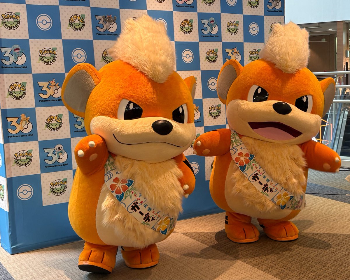 挨拶するガーディ (｀・ω・´)ﾉ ﾖｯ 右の子のんびりしていて本当可愛い