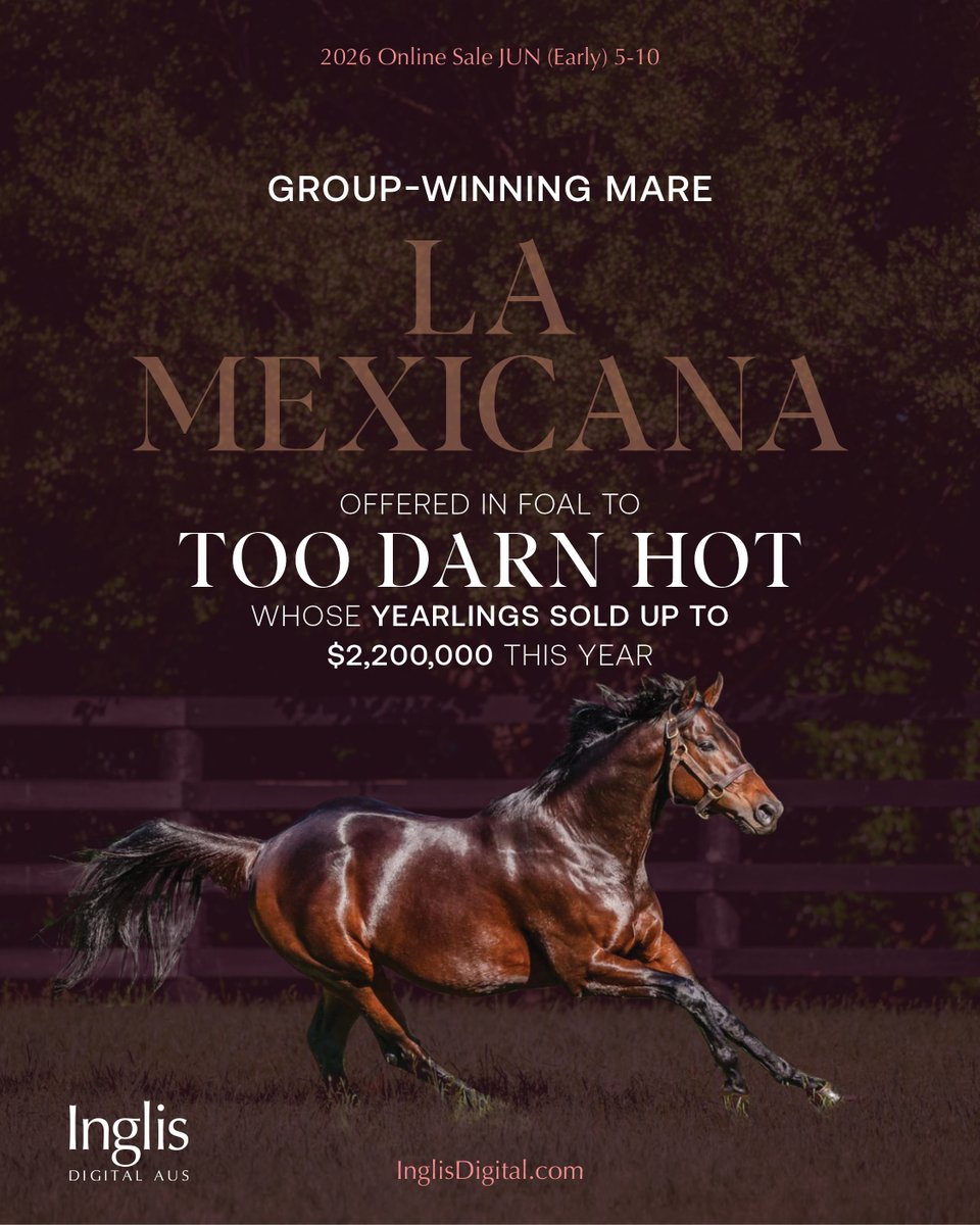 inglis_sales's tweet photo. Group-winning mare LA MEXICANA is a highlight lot of the #InglisDigital June (Early) Online Sale. She is offered in foal to Too Darn Hot, whose yearlings sold up to $2,200,000 this year. View the listing here: https://t.co/eQ05mxl8hq

Watch La Mexicana feature video: https://t.co/GXR2i4MePW