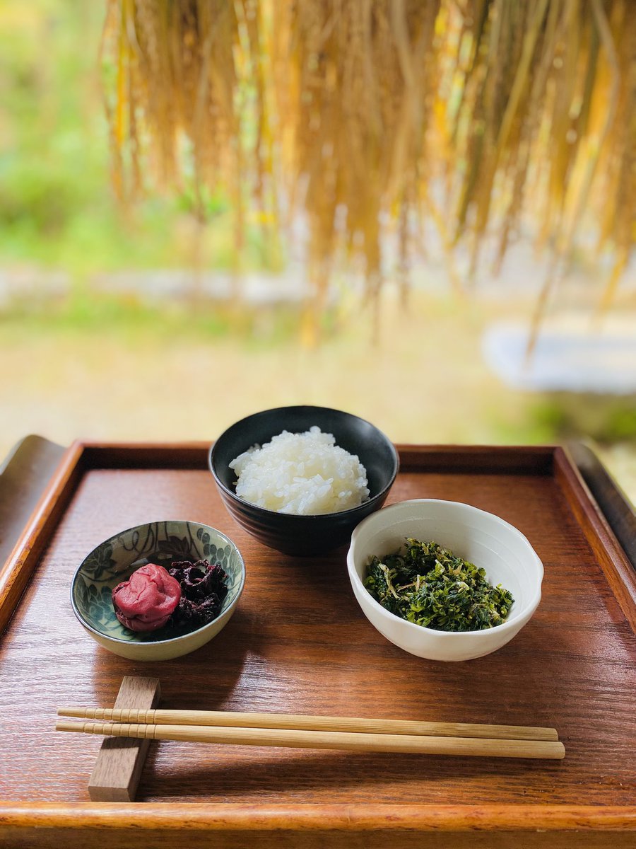 mui___shizen's tweet photo. 記憶が薄れていく事でもあります。

一件でも多くの家庭で、本物の梅干しが受け継がれ、日本の“食と祈りの文化”が続いていきますように…

そして梅干しが
日々の暮らしや、いま囁かれている食料不足や有事の際にも

確かな備えとして
私たちを支えてくれる存在でありますように✨ https://t.co/iTEkuEerEu