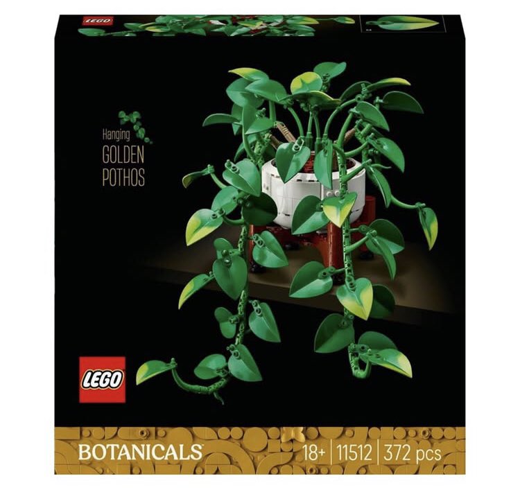 BlogsBrick's tweet photo. Lego Botanical Hanging Golden Pothos first look image!

372 Pieces / Price TBC / 1st August 2026

#Lego #Legonews #legoleaks #Botanicals https://t.co/HPXIBRIZfU